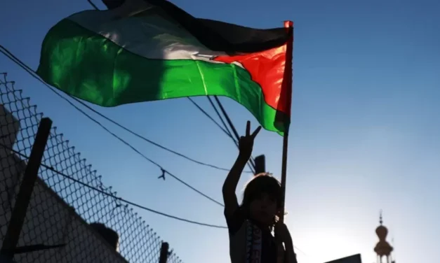 Palestina en las Universidades españolas